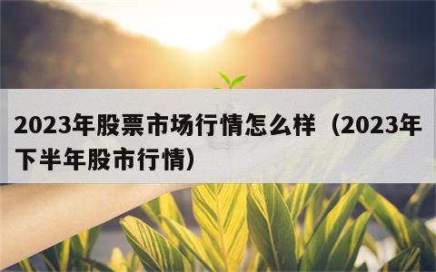 2023年股票市场行情怎么样（2023年下半年股市行情）