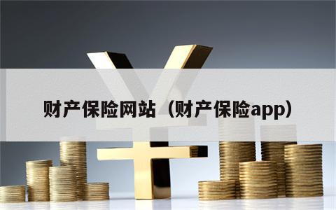 财产保险网站（财产保险app）