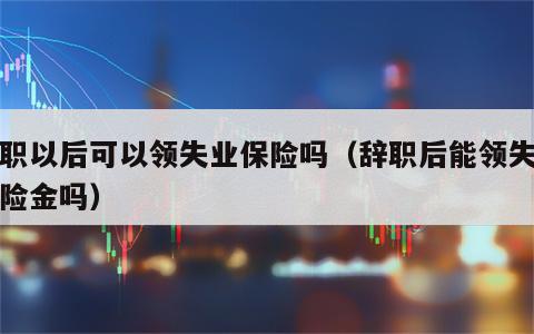 辞职以后可以领失业保险吗（辞职后能领失业保险金吗）