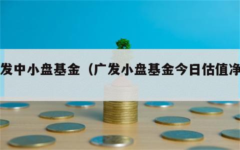 广发中小盘基金（广发小盘基金今日估值净值）