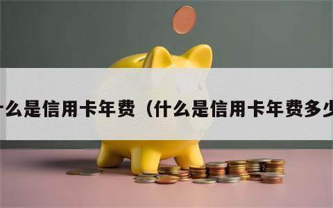 什么是信用卡年费（什么是信用卡年费多少）