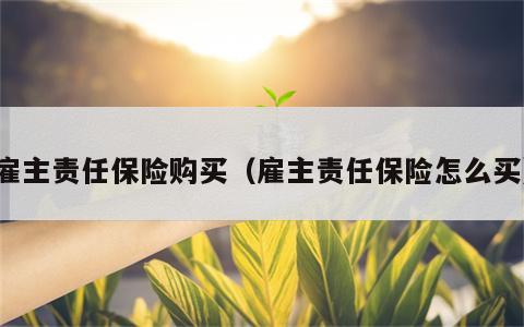 雇主责任保险购买（雇主责任保险怎么买）