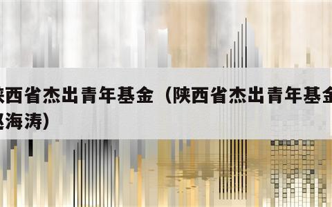 陕西省杰出青年基金（陕西省杰出青年基金 赵海涛）