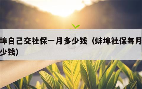 蚌埠自己交社保一月多少钱（蚌埠社保每月交多少钱）