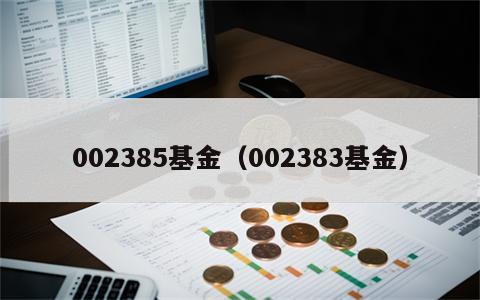 002385基金（002383基金）