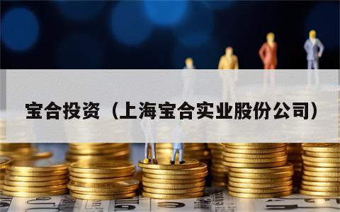 宝合投资（上海宝合实业股份公司）