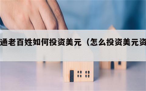 普通老百姓如何投资美元（怎么投资美元资产）