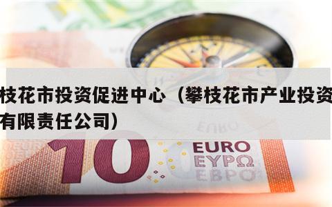 攀枝花市投资促进中心（攀枝花市产业投资经营有限责任公司）