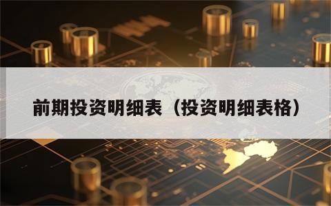 前期投资明细表（投资明细表格）