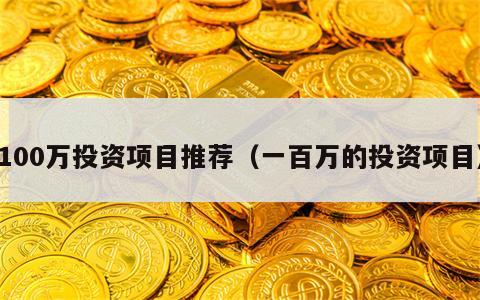 100万投资项目推荐（一百万的投资项目）