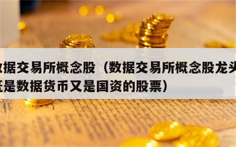 数据交易所概念股（数据交易所概念股龙头l既是数据货币又是国资的股票）