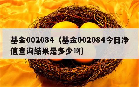 基金002084（基金002084今日净值查询结果是多少啊）