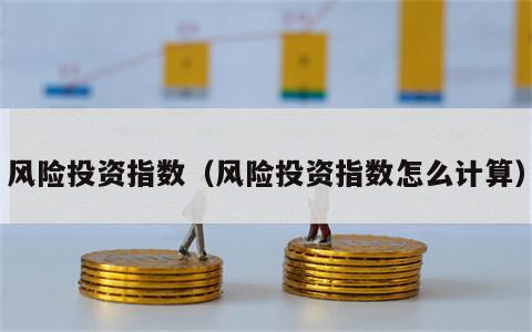 风险投资指数（风险投资指数怎么计算）