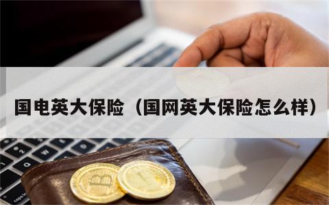 国电英大保险（国网英大保险怎么样）