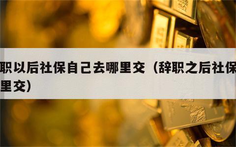 辞职以后社保自己去哪里交（辞职之后社保去哪里交）