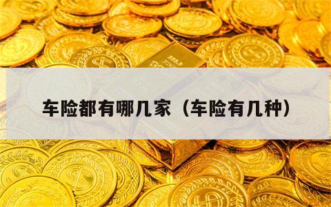 车险都有哪几家（车险有几种）