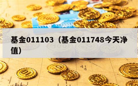 基金011103（基金011748今天净值）