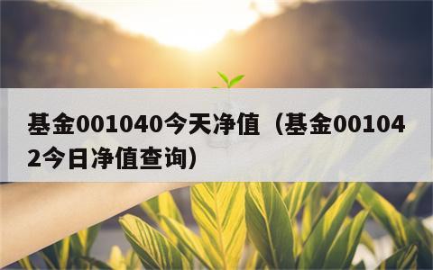 基金001040今天净值（基金001042今日净值查询）