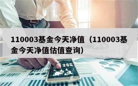 110003基金今天净值（110003基金今天净值估值查询）