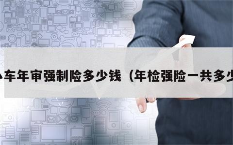 小车年审强制险多少钱（年检强险一共多少）