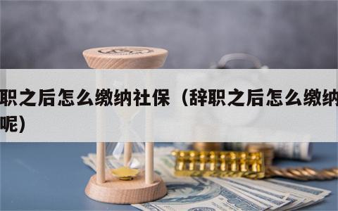 辞职之后怎么缴纳社保（辞职之后怎么缴纳社保呢）