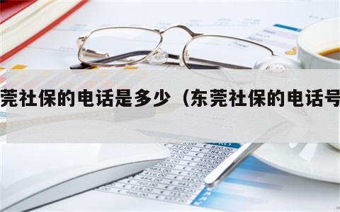 东莞社保的电话是多少（东莞社保的电话号码）