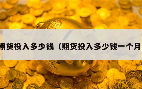 期货投入多少钱（期货投入多少钱一个月）