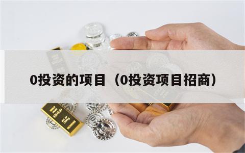 0投资的项目（0投资项目招商）