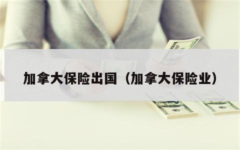 加拿大保险出国（加拿大保险业）