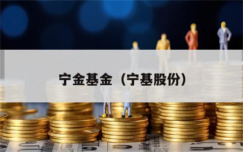 宁金基金（宁基股份）