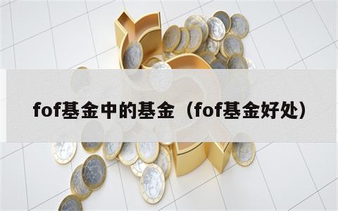 fof基金中的基金（fof基金好处）