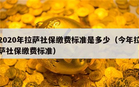 2020年拉萨社保缴费标准是多少（今年拉萨社保缴费标准）