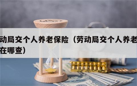 劳动局交个人养老保险（劳动局交个人养老保险在哪查）