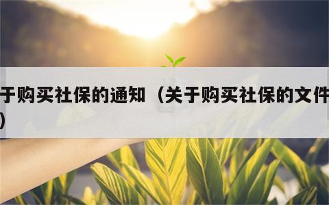 关于购买社保的通知（关于购买社保的文件通知）