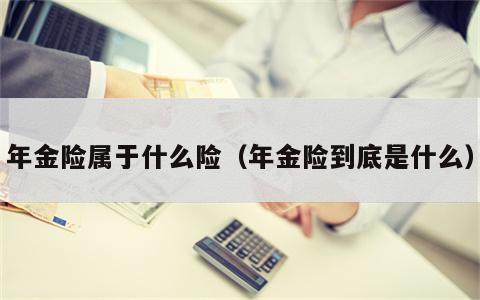 年金险属于什么险（年金险到底是什么）