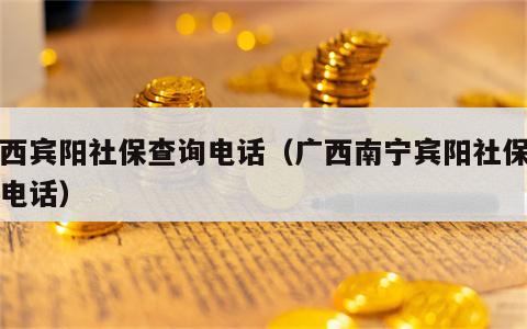 广西宾阳社保查询电话（广西南宁宾阳社保中心电话）