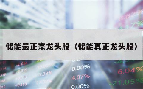储能最正宗龙头股（储能真正龙头股）