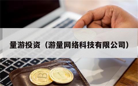 量游投资（游量网络科技有限公司）