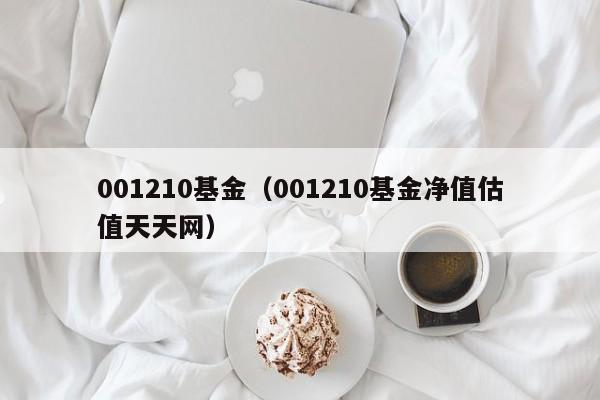 001210基金（001210基金净值估值天天网）
