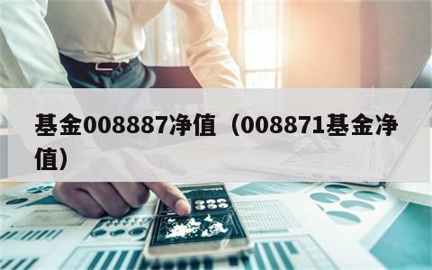 基金008887净值（008871基金净值）