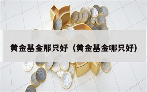 黄金基金那只好（黄金基金哪只好）