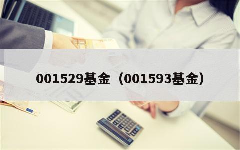 001529基金（001593基金）