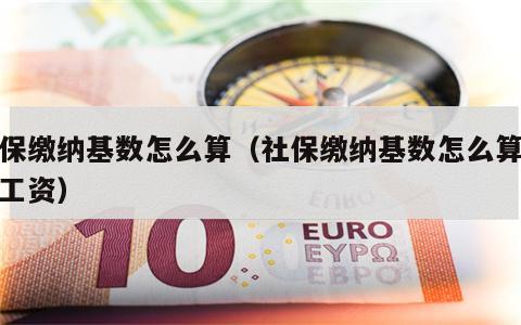 社保缴纳基数怎么算（社保缴纳基数怎么算退休工资）