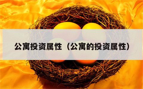 公寓投资属性（公寓的投资属性）
