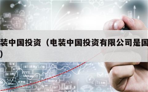 电装中国投资（电装中国投资有限公司是国企吗）