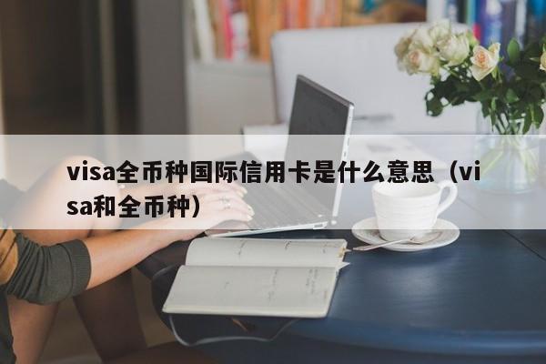 visa全币种国际信用卡是什么意思（visa和全币种）