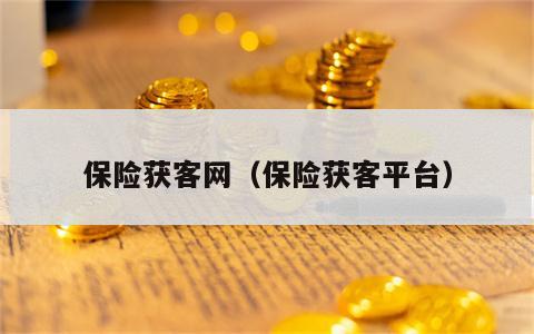保险获客网（保险获客平台）