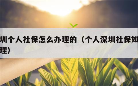 深圳个人社保怎么办理的（个人深圳社保如何办理）