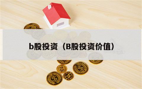 b股投资（B股投资价值）