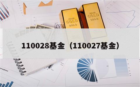 110028基金（110027基金）